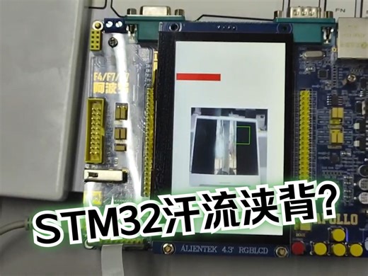 汗流浃背了吧？单片机！ STM32H7也能跑YOLO神经网络？