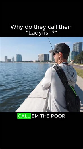 Does anyone know how they got their name? Let us know in the comments! | Googan Squad