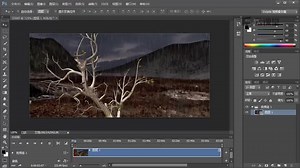 章节1 课时 3 时间轴中的基本操作b