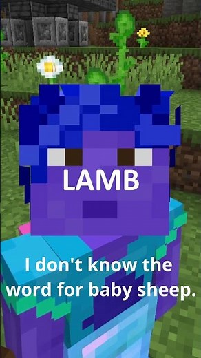 Genetics & Minecraft: Sheep Wool #minecraft