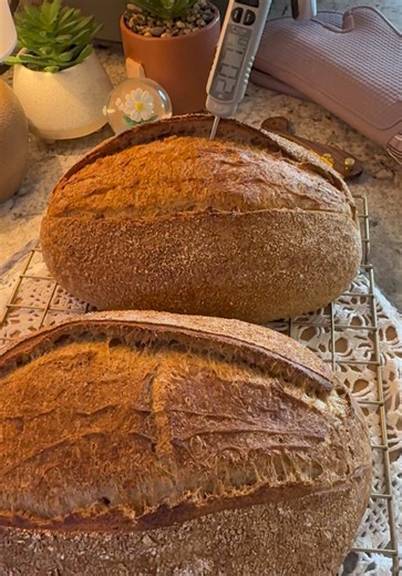 Perfecting FMF Sourdough Loaves at Home