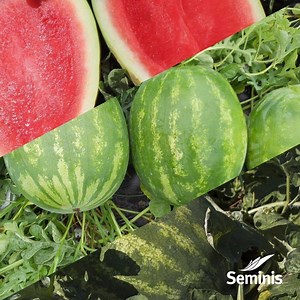 23K views · 140 reactions | Summer is getting closer, and with it the...