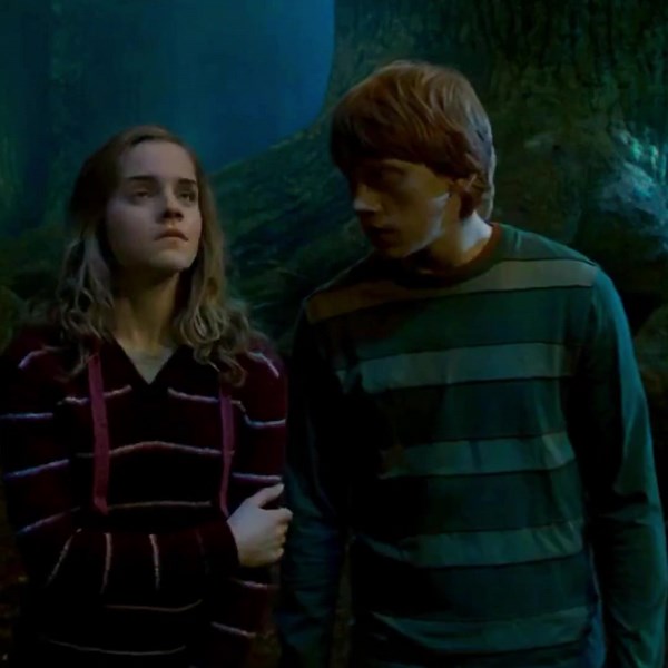 The Romantic Journey of Ron Weasley and Hermione Granger