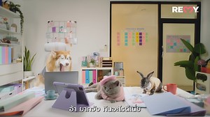 26K views · 2.3K reactions | REMY = YUMMY!! กินปุ๊ป รู้ปั๊ป วัตถุดิบเกรดพรีเมี่ยม ประโยชน์คูณ 2 ทุกคำ ที่ให้สุขภาพแข็งแรง  ผู้ผลิตเดียวกับปลาทูน่านอติลุส และ โรงพยาบาลสัตว์ทองหล่อ . #REMYPets #remypetfood #REMYHumanGrade | REMY Pets | Facebook