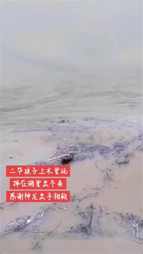 对不起，对不起，对不起，对不起，对不起，对不起，对不起#对不起