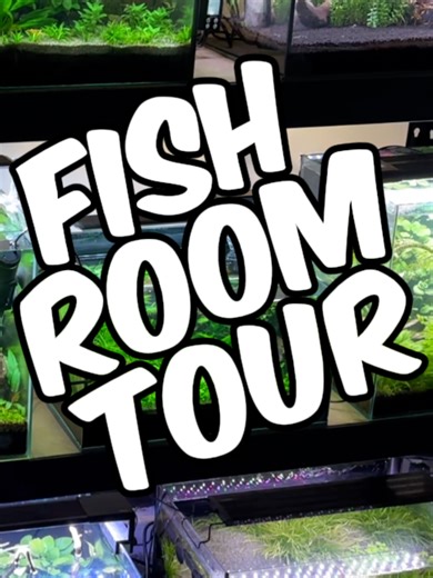 March 2026 Fish Room Tour: Update on My Aquariums