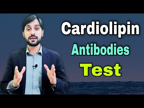 Cardiolipin Antibodies Test | Anticardiolipin | Cardiolipin Antibodies IgM-IgG-IgA