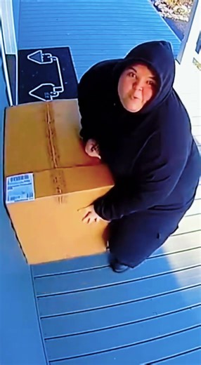 Epic Porch Traps (Part 1)