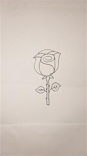 Rose 🌹🌹 drawing #painting # colouring..rose step by step drawing from S....# reels # shorts