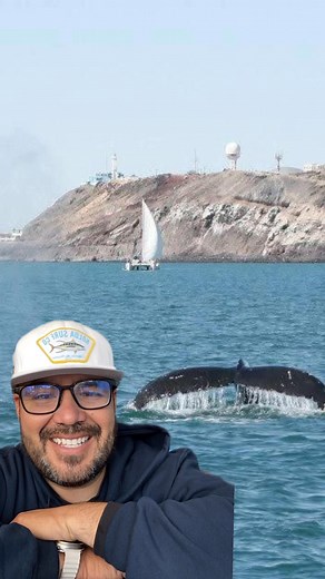 Join us on our live today at 4 pm for the announcement of the winners 🥇 Good luck everyone! See you at 4 pm! @fansdestacados | Del Mar Charters Mexico