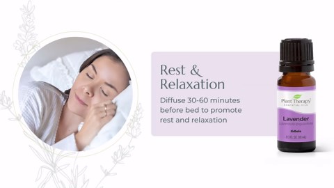 Plant Therapy Lavender Essential Oil 100% Pure, Undiluted, Therapeutic Grade, Aromatherapy Diffuser for Relaxation and Body Care, Healthy Skin and Hair, 10 mL (1/3 oz)