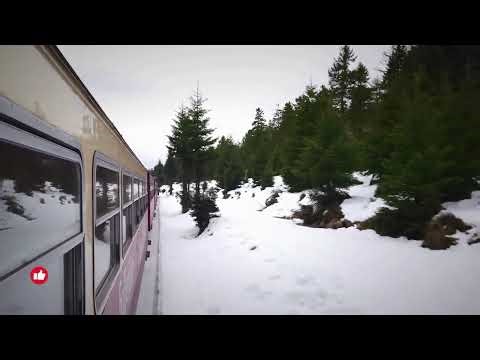 Train Ride Winter Forest #snow #train #winter