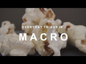 EVERYDAY Objects & Things In MACRO Close Up