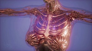 Mammogram radio imaging for breast cancer diagnosis