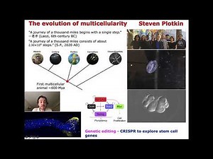 The evolution of multicellularity - Dr. Steven Plotkin