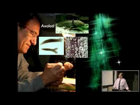 Alien Worlds with David Aguilar | CfA