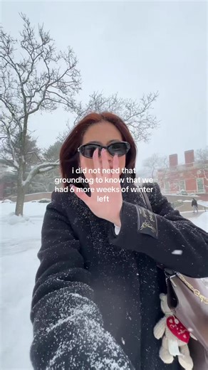 Surviving Boston's Long Winter: Snow and Groundhog Day