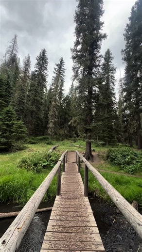 New Mexico River Moments: Calm Nature Day