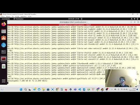 WARNING:root:Cannot call Open vSwitch: ovsdb-server.service is not running. 🐧 SOLUCION