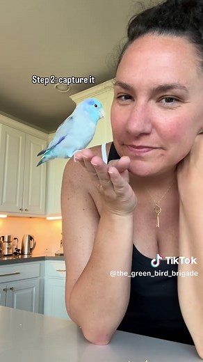 Effective Techniques for Teaching Parrots to Talk
