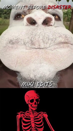 #aestheic