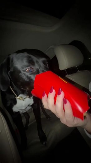 emma north (@emma_north23)’s videos with original sound - HarlemGlobetrotters