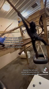 29 reactions | Yesterday was Conservation Day at the zoo. Because of YOU we can help animals both in our backyard and across the world! Open daily 10am to 6pm.  by Keeper Molly | Dakota Zoo | Facebook