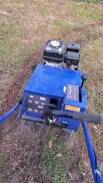 How to remove grass for your Above Ground pool