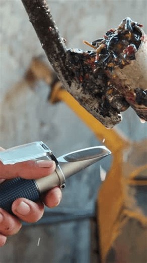 clip-4041363861-grape-must-sampling-quality-control-winemaker-extracting