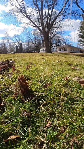 Adventurous Cats Capture the World Through Their Camera Lens