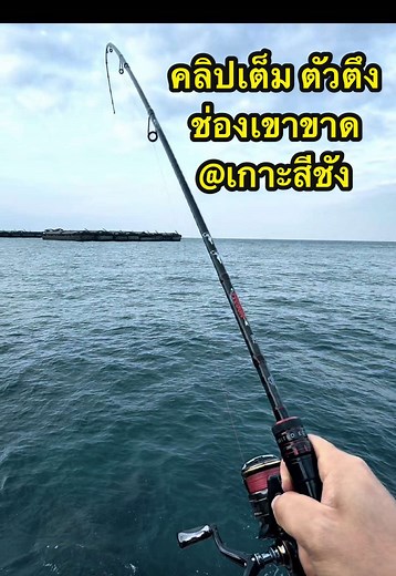 ตกปลาช่องเขาขาดที่เกาะสีชังสนุกเต็มที่