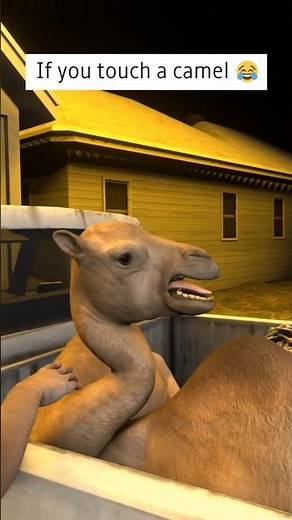 mashallah 3d camel memes