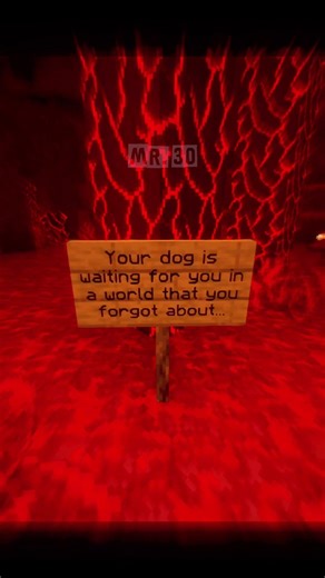 Your dog is waiting for you...