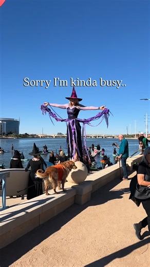 1.2K views | October 25 at 3:45 PM on the north side of Tempe town Lake just put “Tempe town Lake Marina” into your maps Grab a cloak out of your closet, trade your broom for a paddle and get ready to fly around the lake! It’s free you just need a Tempe town Lake boat permit. You can scan the QR code at the lake. .. Sign up for notifications at desertpaddleboards.com | Desert Paddleboards | Facebook