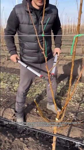 Efficient Plant Pruning with Long Handled Shears-Good gear makes work a whole lot faster
