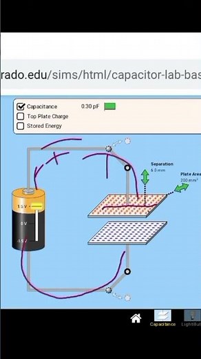 Capacitor in phet simulation