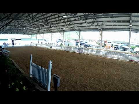 Alpaca Costume Contest & Youth Obstacle Course Challenge