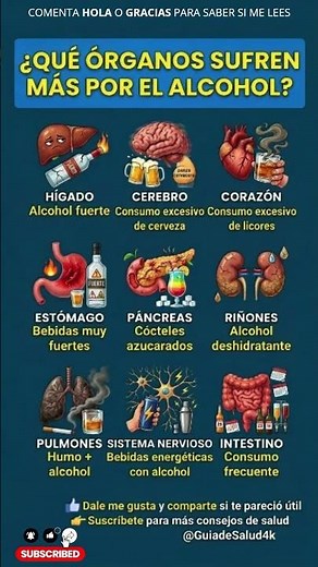 Órganos que Sufren Más por el Alcohol