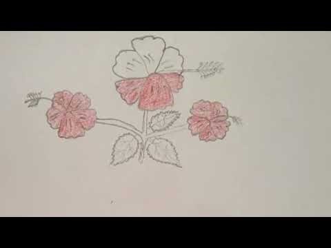 Hibiscus flower drawing 🌺. Easy Hibiscus flower draw ।।