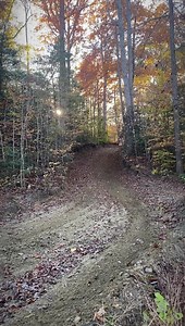 522K views · 15K reactions | Some naughty 2 stroke raw 數 Riding Travis Pastrana ‘s KTM 250 TPI XC complete with side stand  This thing barks & track conditions were unreal. For sure a Day to remember  | Josh Spinks Racing | Facebook