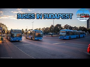 Buses in Budapest 🇭🇺 | Compilation