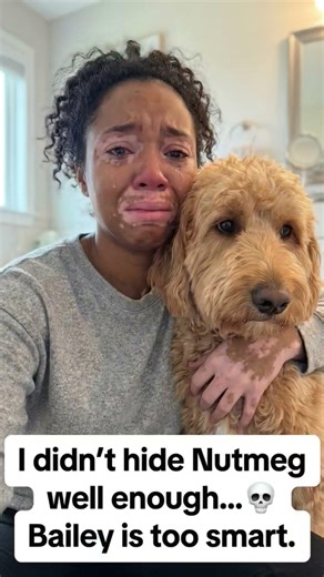 Full Story - I gave Bailey apple cores as treats. Seemed healthy and she loved them. Then I learned