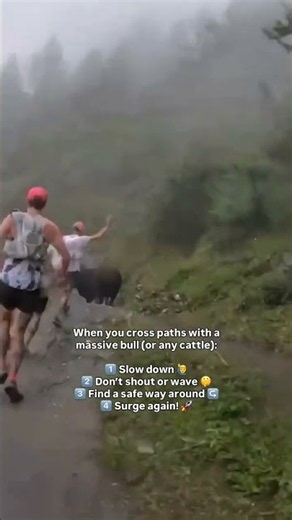 🟩 #CCC - Traffic jam on the trails - HOKA UTMB Mont-Blanc 2026