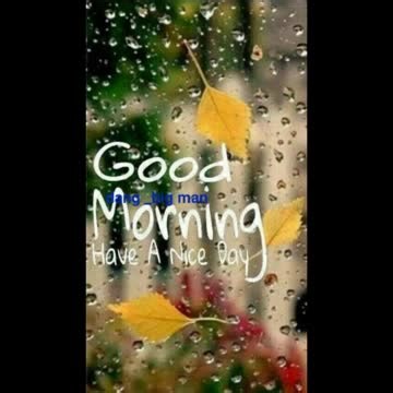 Vidéos de Dang ba (@dangba73) avec son original - Dang ba