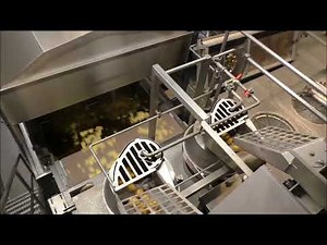 Rosenqvists Batch Fryer System