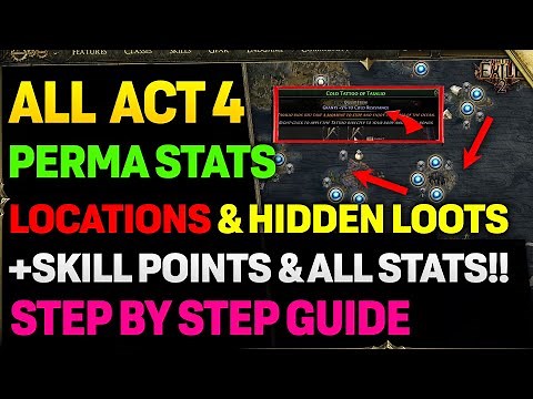 ALL NEW PERMA STATS Locations In POE 2 ACT 4 Islands! | Step By Step Guide