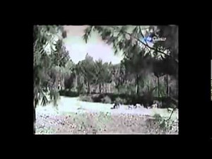 DEMETRIO GONZÁLEZ, El Pastor. (1958).