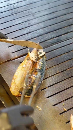 Income from Norway Finds Life in Turkey #fish