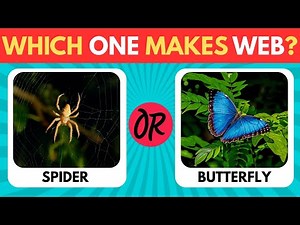 This or That Quiz for Kids | Fun Learning Game | Guess the Correct Answer!