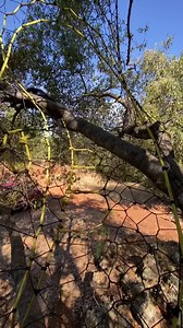 10K views · 447 reactions | Another project underway in Auburn CA | Charlie's Webs | Facebook